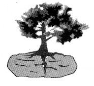 Maharashtra Board Solutions Class 11-Geography: Chapter 2- Weathering and Mass Wasting 6.3