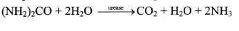 Maharashtra Board Solutions Class 11-Biology: Chapter 6- Biomolecules Question 2