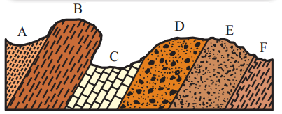 Maharashtra Board Solutions Class 11-Geography: Chapter 2- Weathering and Mass Wasting 1