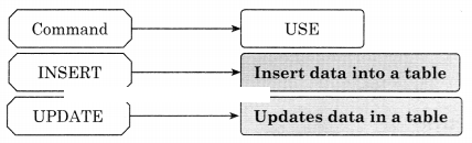 Maharashtra Board Solutions Class 11-Information Technology: Chapter 2- Introduction to DBMS 2.3