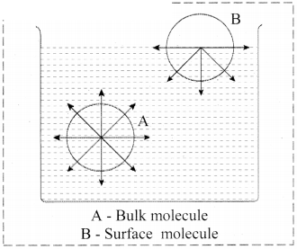 Maharashtra Board Solutions Class 11-Chemistry: Chapter 11- Adsorption and Colloids
