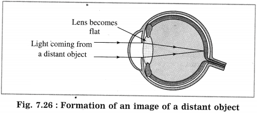 Maharashtra Board Solutions for Class 10- Science (Part 1): Chapter 7- Lenses