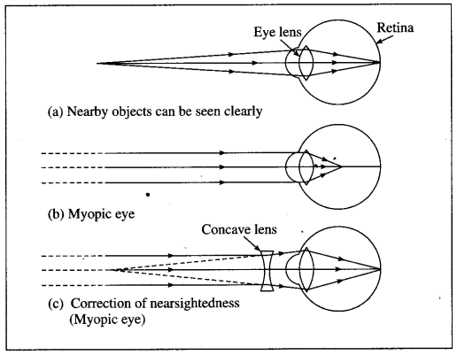 Maharashtra Board Solutions for Class 10- Science (Part 1): Chapter 7- Lenses