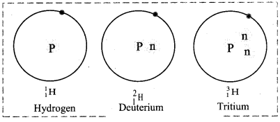 Maharashtra Board Solutions Class 11-Chemistry: Chapter 8- Elements of Group 1 and 2 3.D