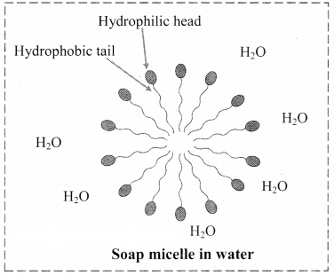 Maharashtra Board Solutions Class 11-Chemistry: Chapter 11- Adsorption and Colloids 9