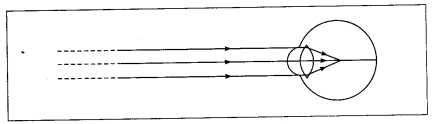 Maharashtra Board Solutions for Class 10- Science (Part 1): Chapter 7- Lenses