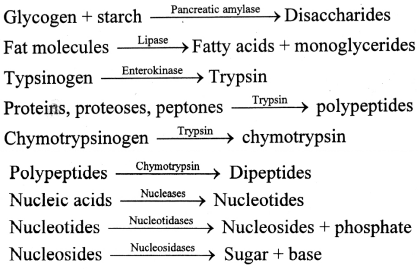 Maharashtra Board Solutions Class 11-Biology: Chapter 14- Human Nutrition Question 1