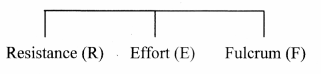 Maharashtra Board Solutions Class 11-Biology: Chapter 16- Skeleton and Movement