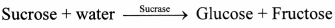 Maharashtra Board Solutions Class 11-Biology: Chapter 6- Biomolecules Question 2.(F)