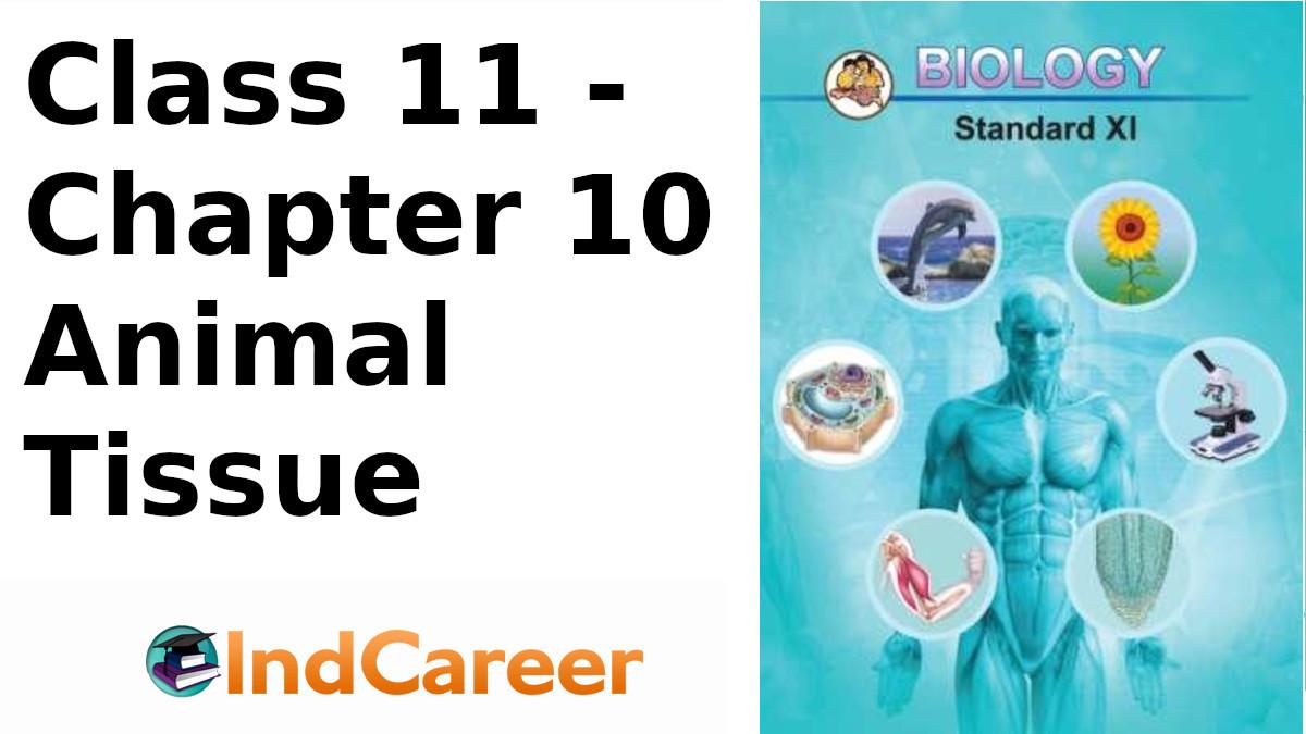 Maharashtra Board for Class 11, Biology Chapter 10 - IndCareer Schools Maharashtra Board for Class 11, Biology Chapter 10 - IndCareer Schools