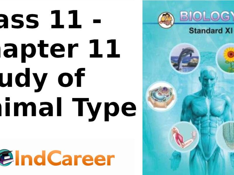Maharashtra Board Solutions Class 11-Biology: Chapter 11- Study of Animal Type