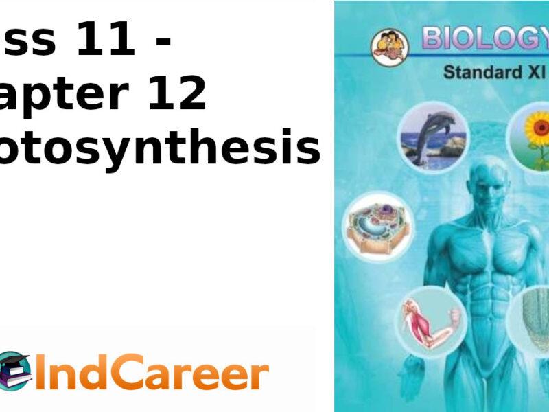Maharashtra Board Solutions Class 11-Biology: Chapter 12- Photosynthesis