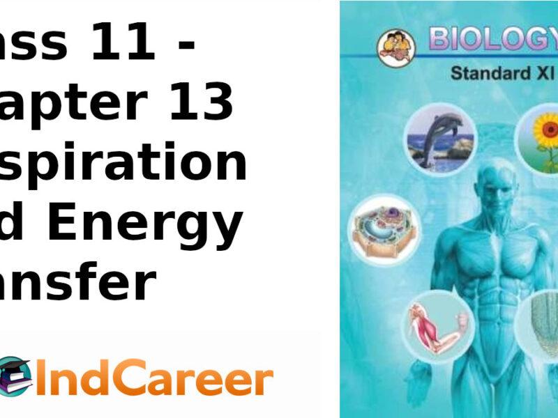 Maharashtra Board Solutions Class 11-Biology: Chapter 13- Respiration and Energy Transfer