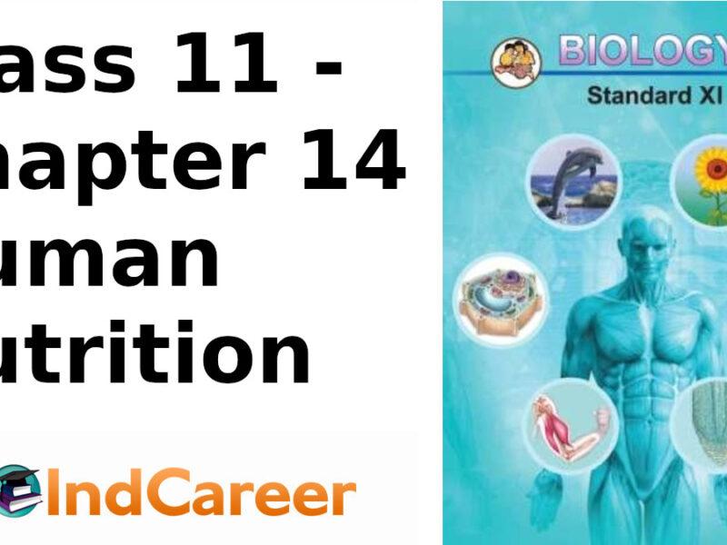 Maharashtra Board Solutions Class 11-Biology: Chapter 14- Human Nutrition