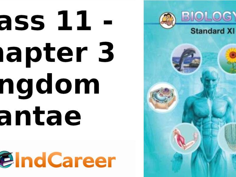 Maharashtra Board Solutions Class 11-Biology: Chapter 3- Kingdom Plantae