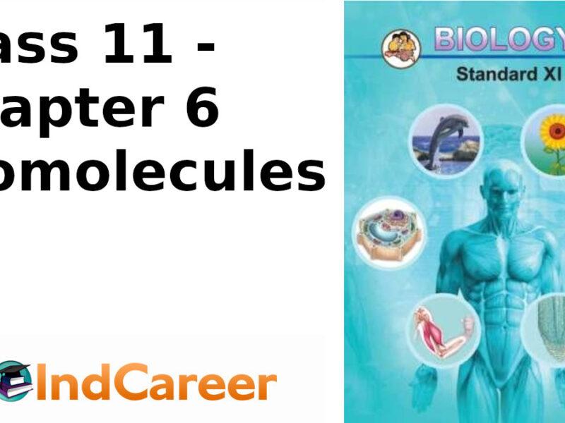 Maharashtra Board Solutions Class 11-Biology: Chapter 6- Biomolecules