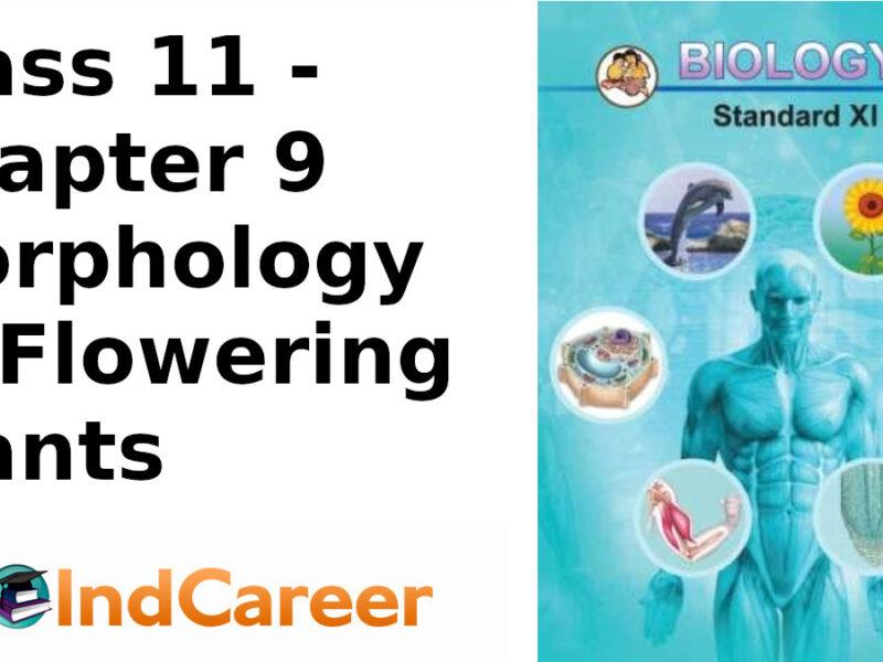 Maharashtra Board Solutions Class 11-Biology: Chapter 9- Morphology of Flowering Plants