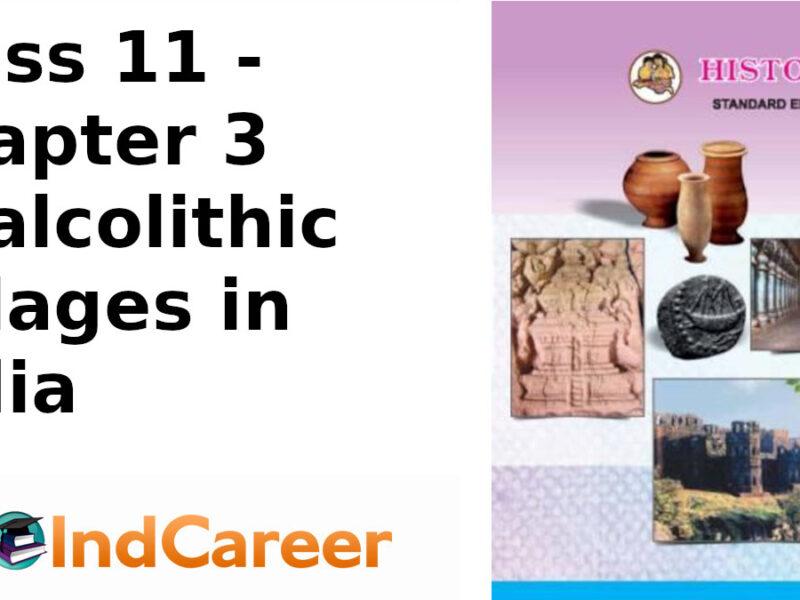 Maharashtra Board Solutions Class 11-History: Chapter 3- Chalcolithic Villages in India