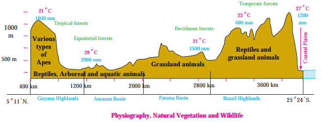 Maharashtra Board Solutions for Class 10- Geography: Chapter 5- Natural Vegetation and Wildlife