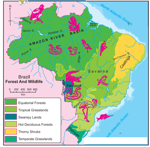 Maharashtra Board Solutions for Class 10- Geography: Chapter 5- Natural Vegetation and Wildlife