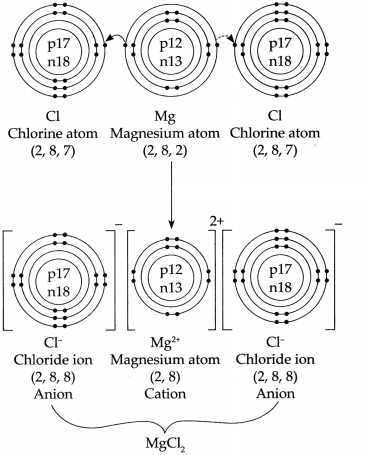 Maharashtra Board Solutions for Class 9- Science: Chapter 5- Acids, Bases and Salts