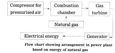 Maharashtra Board Solutions for Class 10- Science (Part 2): Chapter 5- Towards Green Energy