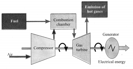 Maharashtra Board Solutions for Class 10- Science (Part 2): Chapter 5- Towards Green Energy