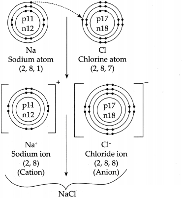 Maharashtra Board Solutions for Class 9- Science: Chapter 5- Acids, Bases and Salts