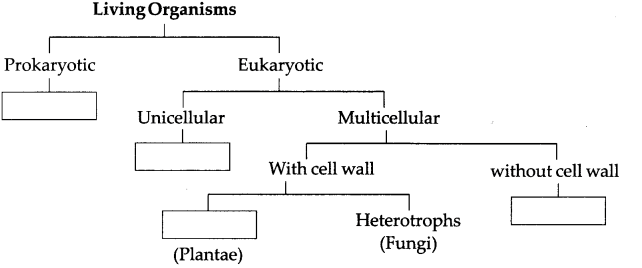 Maharashtra Board Solutions for Class 9- Science: Chapter 6- Classification of Plants