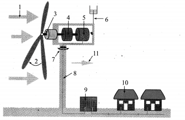 Maharashtra Board Solutions for Class 10- Science (Part 2): Chapter 5- Towards Green Energy