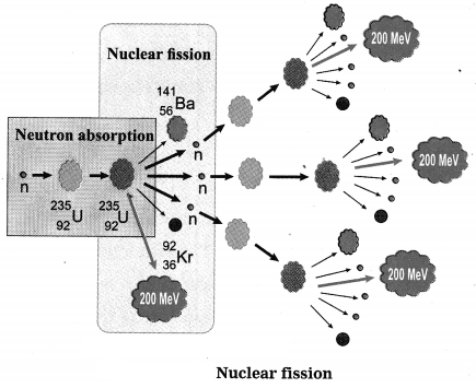 Maharashtra Board Solutions for Class 10- Science (Part 2): Chapter 5- Towards Green Energy