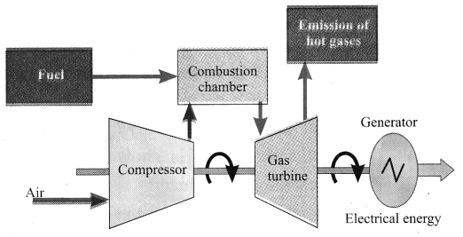 Maharashtra Board Solutions for Class 10- Science (Part 2): Chapter 5- Towards Green Energy