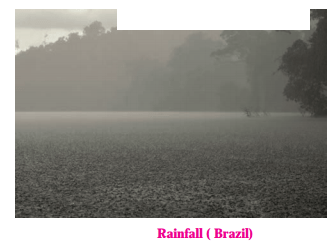 Maharashtra Board Solutions for Class 10- Geography: Chapter 4- Climate