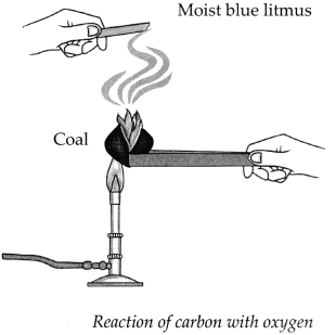 Maharashtra Board Solutions for Class 9- Science: Chapter 13- Carbon: An Important Element
