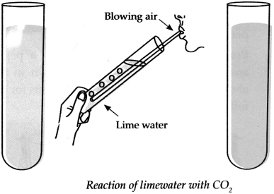 Maharashtra Board Solutions for Class 9- Science: Chapter 13- Carbon: An Important Element