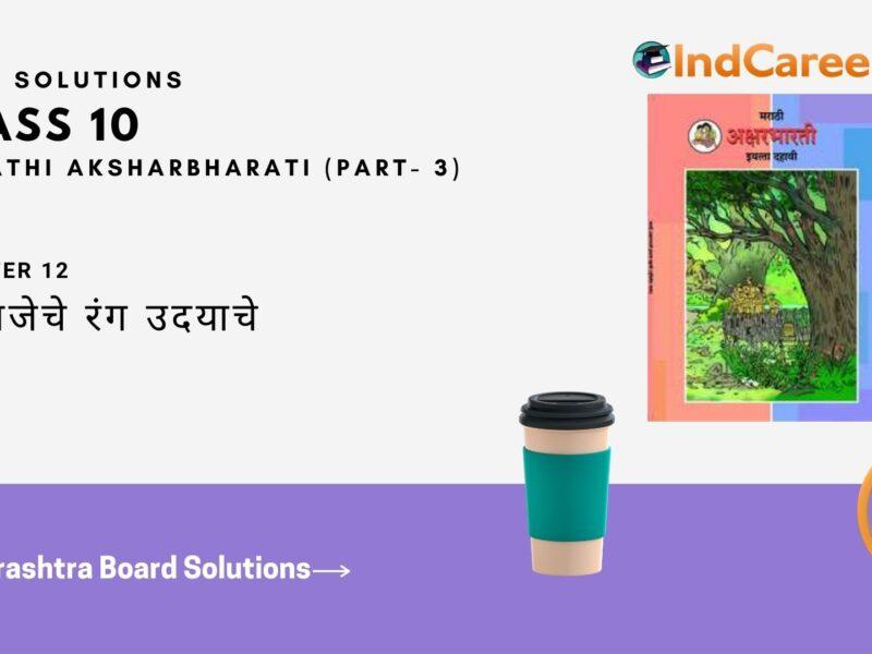 Maharashtra Board Solutions for Class 10- Marathi Aksharbharati (Part- 3): Chapter 12- रंग मजेचे रंग उदयाचे