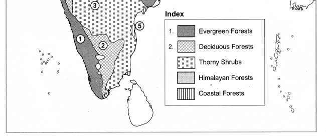 Maharashtra Board Class 10 Geography Solutions Chapter 5 Natural Vegetation and Wildlife 9