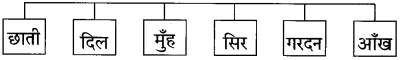 Maharashtra Board Class 10 Hindi Solutions Chapter 3 वाह रे! हमदर्द 29