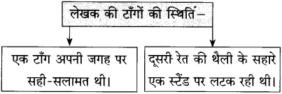 Maharashtra Board Class 10 Hindi Solutions Chapter 3 वाह रे! हमदर्द 8