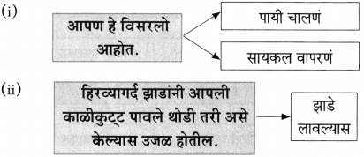Maharashtra Board Class 10 Marathi Aksharbharati Solutions Chapter 7 फूटप्रिन्टस 30