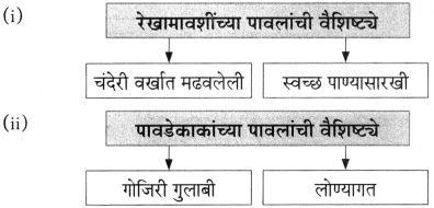 Maharashtra Board Class 10 Marathi Aksharbharati Solutions Chapter 7 फूटप्रिन्टस 35