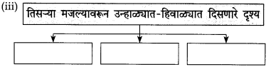 Maharashtra Board Class 10 Marathi Solutions Chapter 14 काळे केस 4