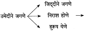 Maharashtra Board Class 10 Marathi Solutions Chapter 15 खोद आणखी थोडेसे 3
