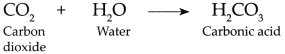 Maharashtra Board Class 9 Science Solutions Chapter 13 Carbon An Important Element 22