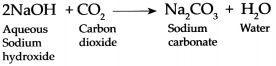 Maharashtra Board Class 9 Science Solutions Chapter 13 Carbon An Important Element 8