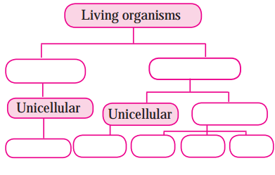 Maharashtra Board Solutions Class 8-Science: Chapter 1- Living World and Classification of Microbes