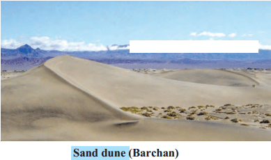 Maharashtra Board Solutions for Class 9- Geography: Chapter 4- Exogenetic Movements Part 2