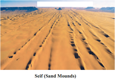 Maharashtra Board Solutions for Class 9- Geography: Chapter 4- Exogenetic Movements Part 2