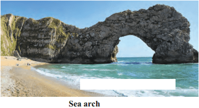 Maharashtra Board Solutions for Class 9- Geography: Chapter 4- Exogenetic Movements Part 2