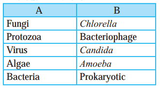 Maharashtra Board Solutions Class 8-Science: Chapter 1- Living World and Classification of Microbes